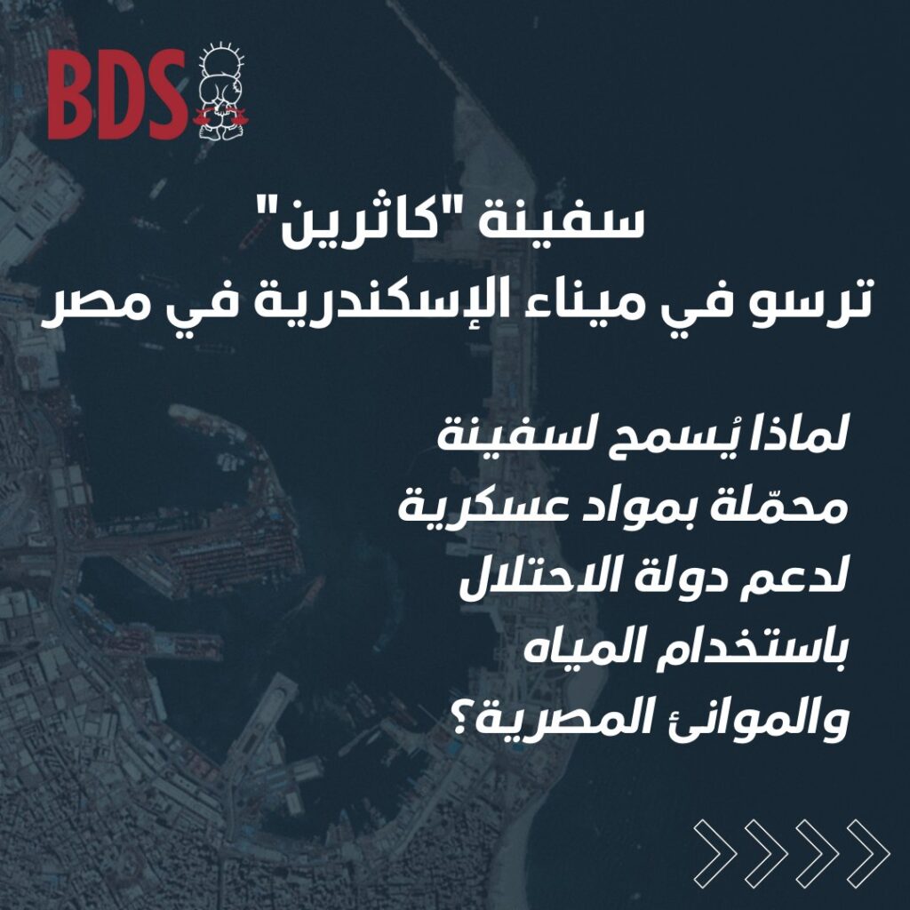 سفينة "كاثرين" المحمّلة بالمتفجرات ترسو في ميناء الإسكندرية بعد رفض دول استقبالها 2 كاثرين